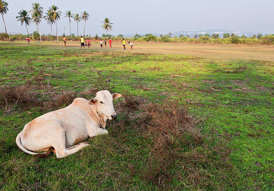 Late evening in Azossim, Goa (Lens: EF 24-105L) Late evening in Azossim, Goa (EF Lens: 24-105L)