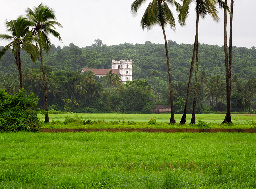 Santana of Talaulim - with palm trees removed Santana of Talaulim - with palm trees removed