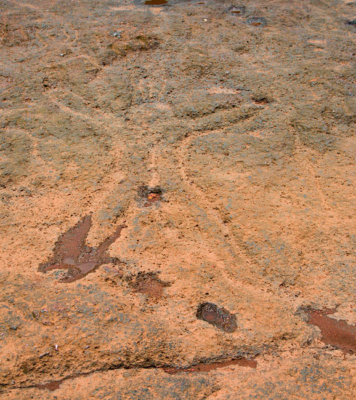 Prehistoric Rock Art Gallery in Goa - Photo Blog by Rajan Parrikar