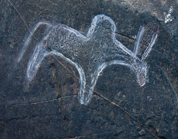 Close-up of prehistoric rock art in Mauxi, Goa<br>5D, 24-105L