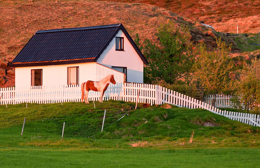 Farmhouse on Skagafjörður bathed in the midnight sun Farmhouse on Skagafjörður awash in the midnight sun