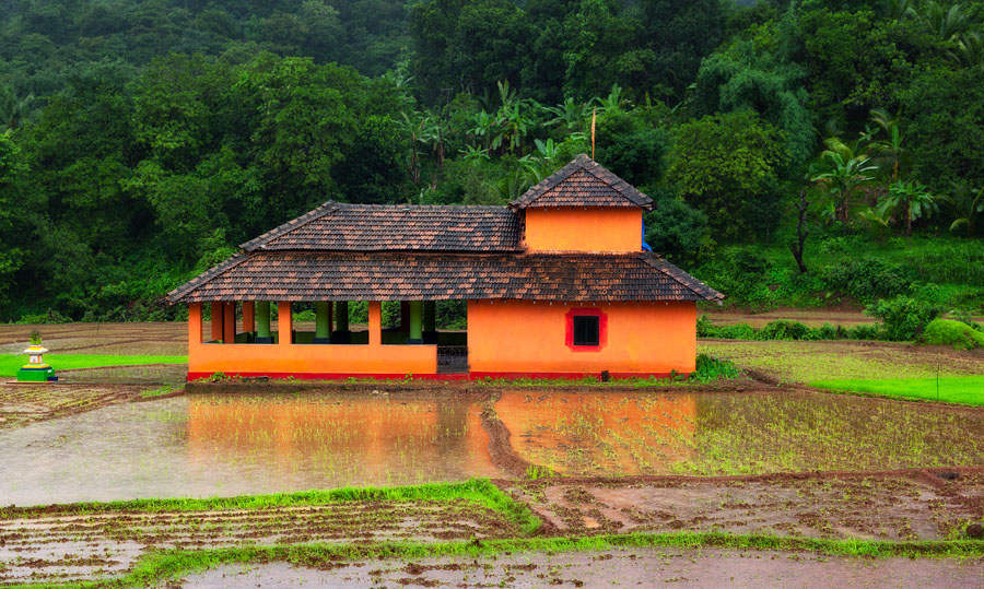 Shrine in the middle of the paddy field