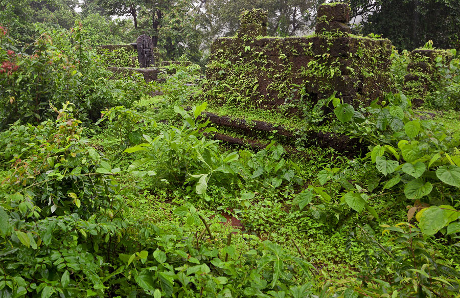 Narayandev temple ruins