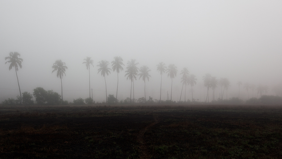 Foggy morning in Merces near Panjim