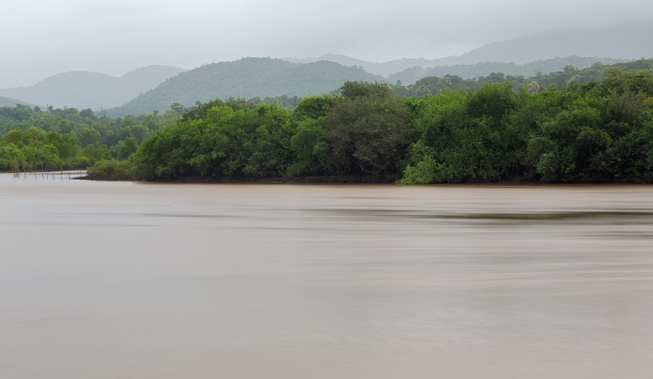 Monsoon morning on Talpona river, Canacona