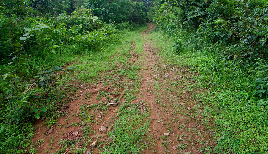 Old path up Siddhanath Hill