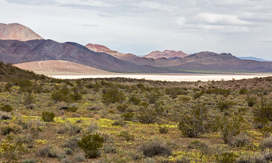 Goldstone Dry Lake, Mojave Desert