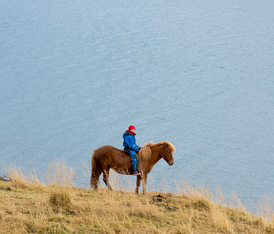 Jónina París Guðmundsdóttir on her horse in Mjóifjörður