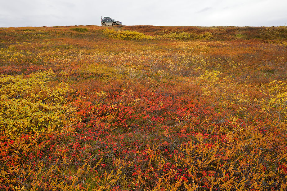 Kristinn Ingi's superjeep and Fall colours near Búrfellshraun
