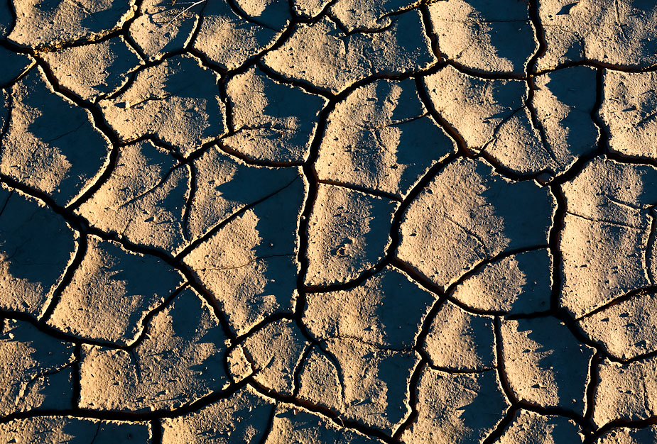 Mud patterns (near Big Dune) in Amargosa Valley