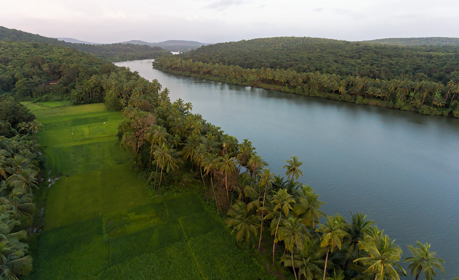 Chapora River and fields near Dhargalim, Goa