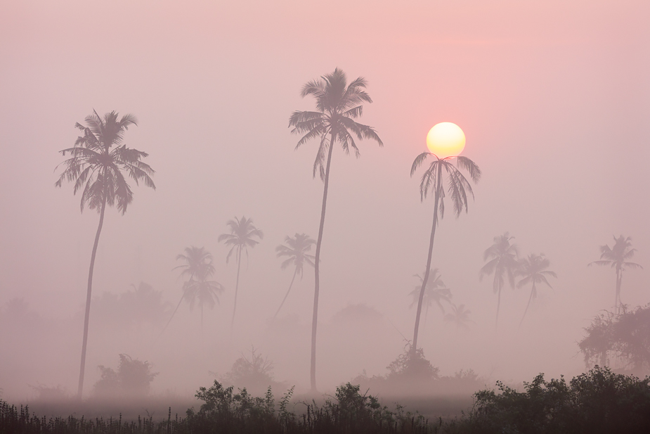 Sunrise in Saligao, Goa