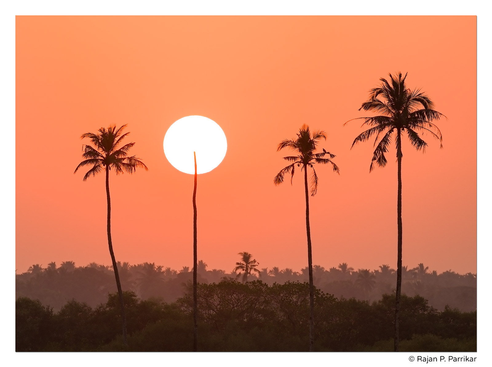 Final sunset of 2017, in Santacruz, Goa