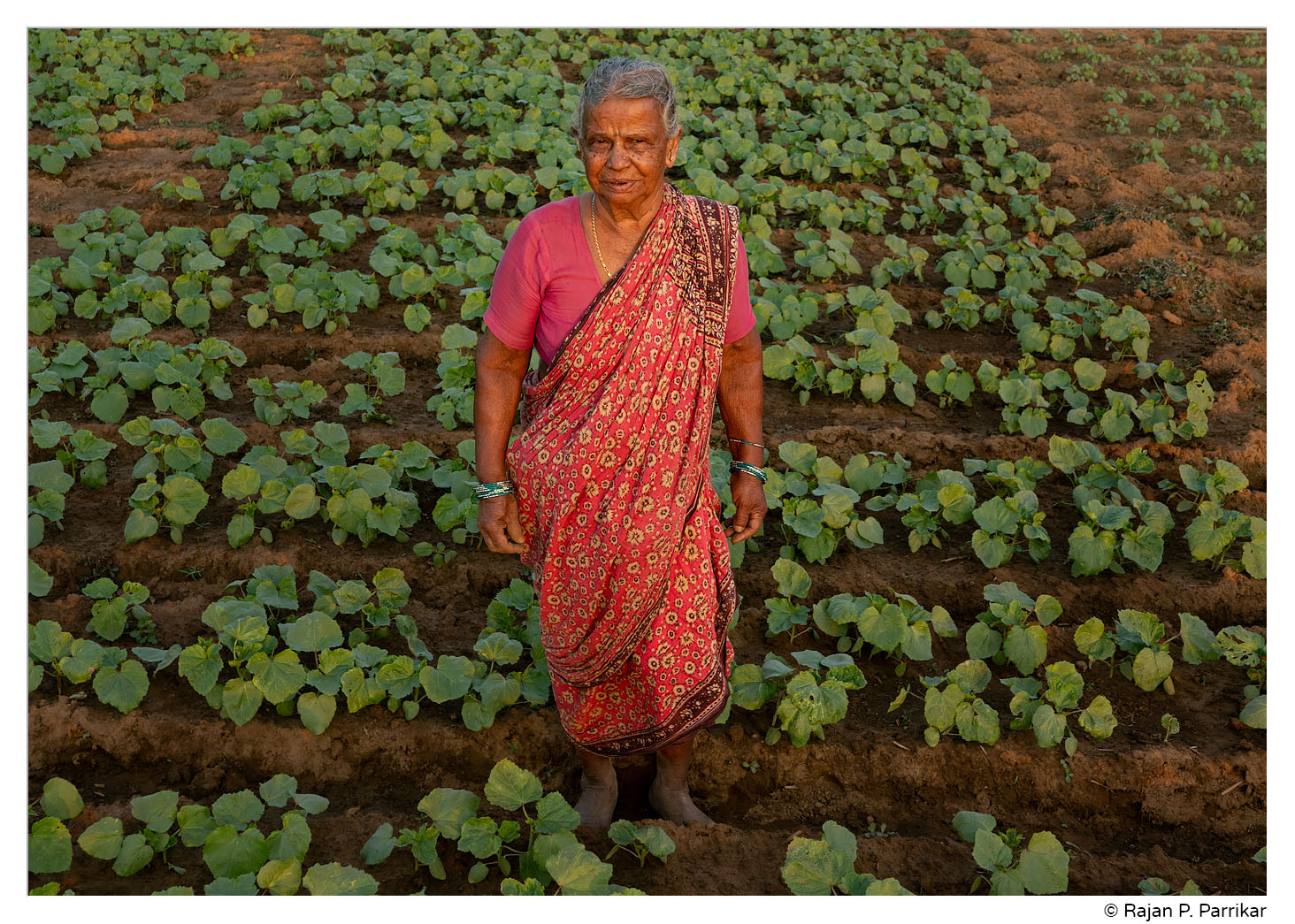 Farmer Sitabai Canconkar, Taleigao, Goa