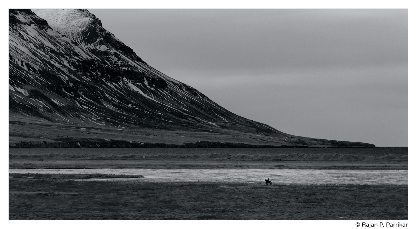 Horse rider near Sauðárkrókur, Iceland