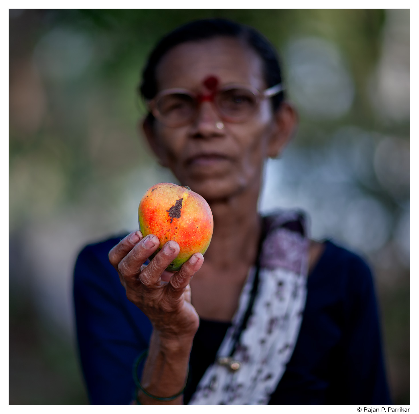 Mancurado mango in Goa