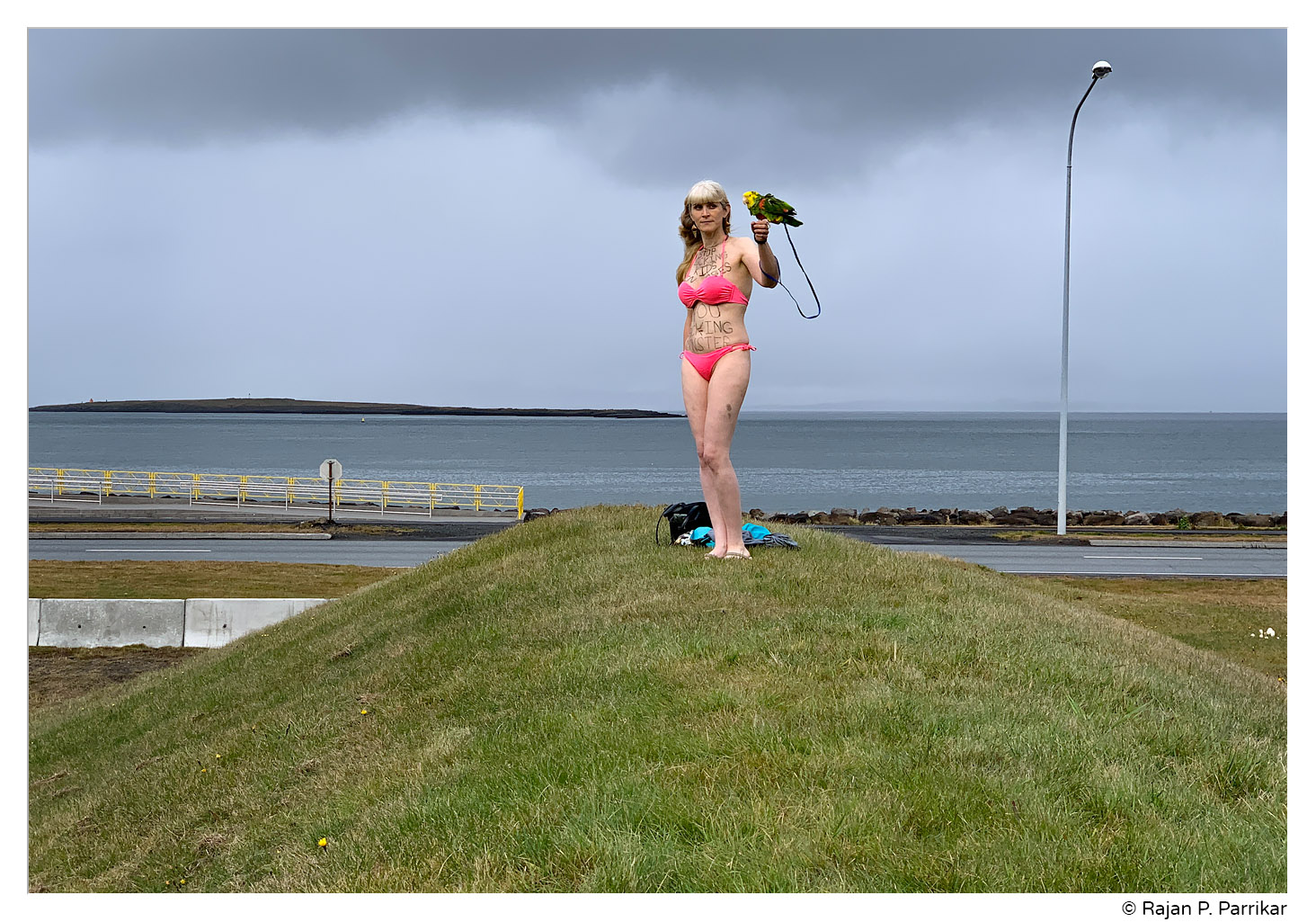 Parakeet and Bikini Woman at Höfði House, Reykjavík