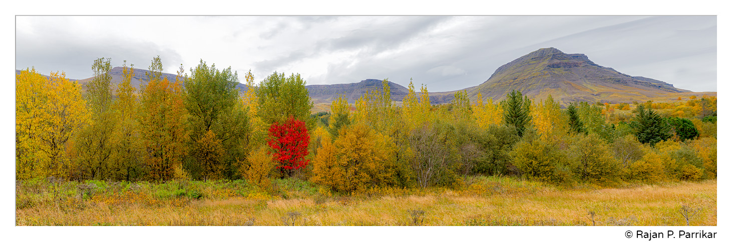Fall colour and Esja