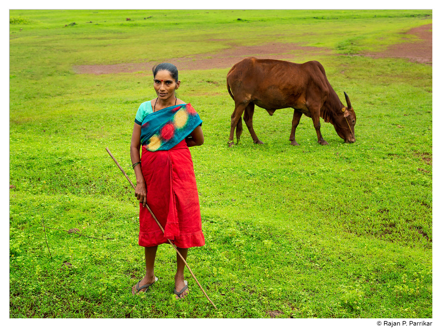 Richa Kandolkar, shepherdess from Korgaon, Goa