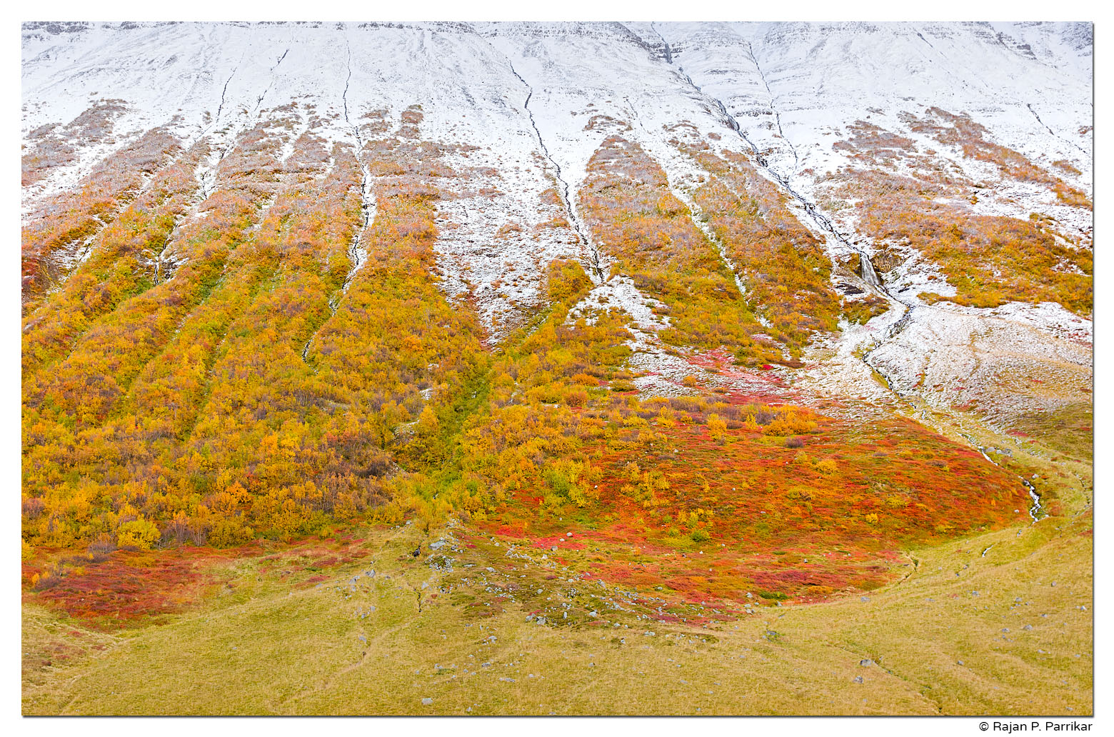 Fall colour on Bræðrafjall, Ljósavatnsskarð, Iceland