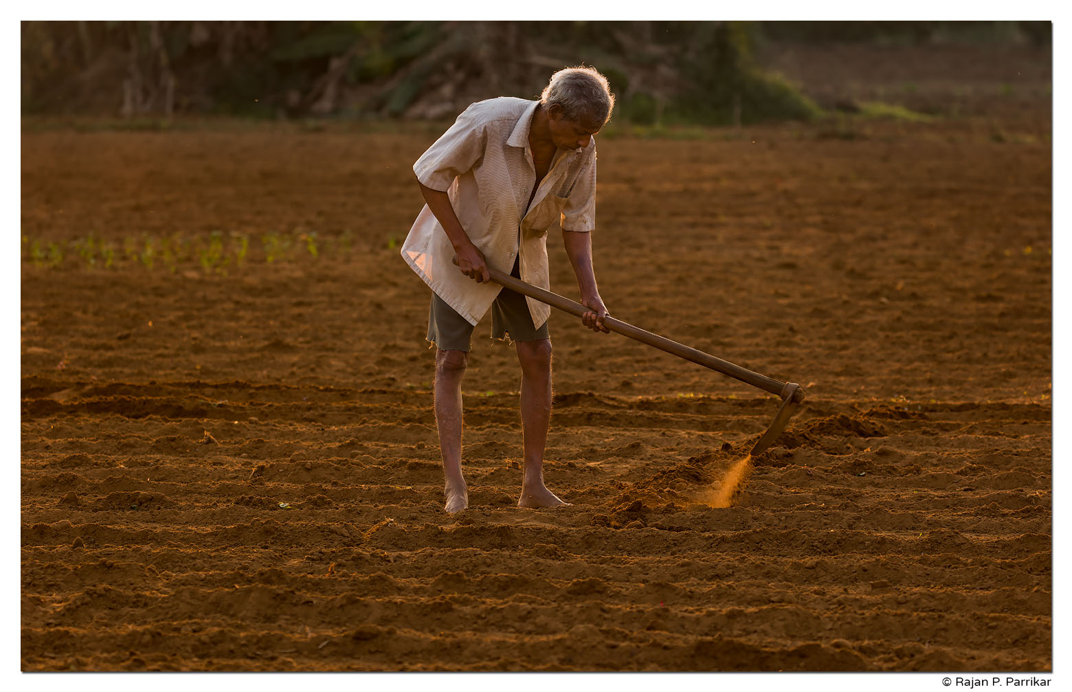 Suresh Kundaikar, farmer, of Nagale, Taleigao, Goa