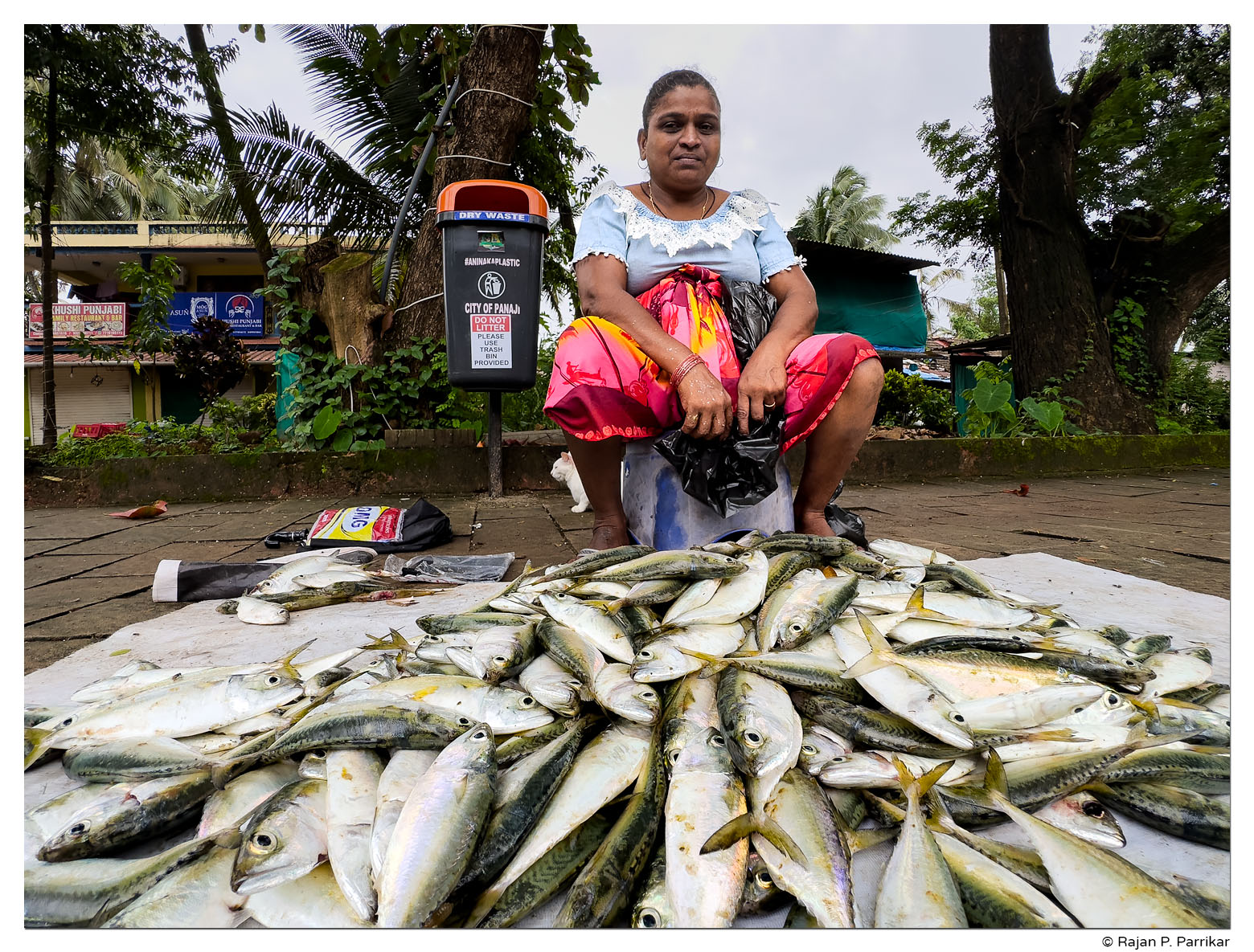 Fisherwoman, Mackerel, Miramar, Panjim, Goa